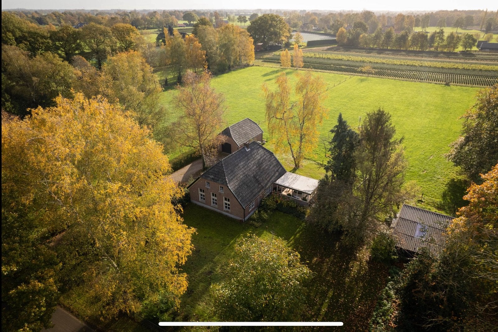 𝐈𝐧𝐭𝐞𝐫𝐞𝐬𝐬𝐞𝐩𝐞𝐢𝐥𝐢𝐧𝐠 (voor jonge hengsten), Opfok, 2 of 3 paarden of pony's