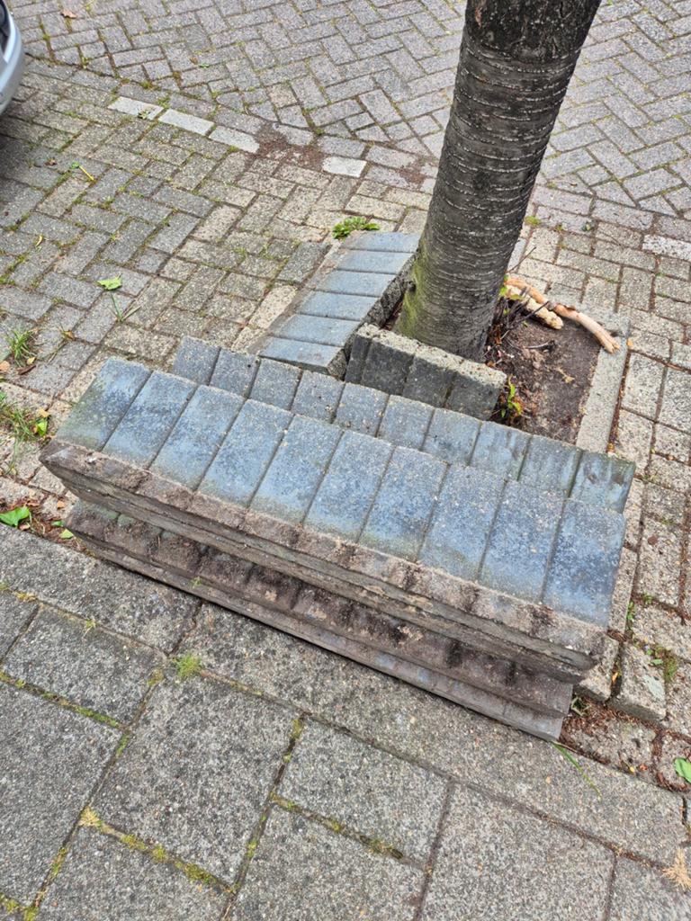 Gratis grijzen bielzen, Gebruikt, Biels, Ophalen of Verzenden, Minder dan 25 cm
