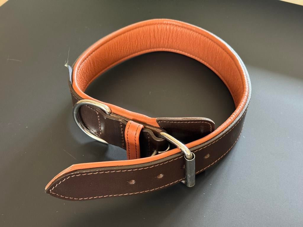 Nieuwe grote hondenhalsband, Dieren en Toebehoren, Ophalen of Verzenden, Nieuw
