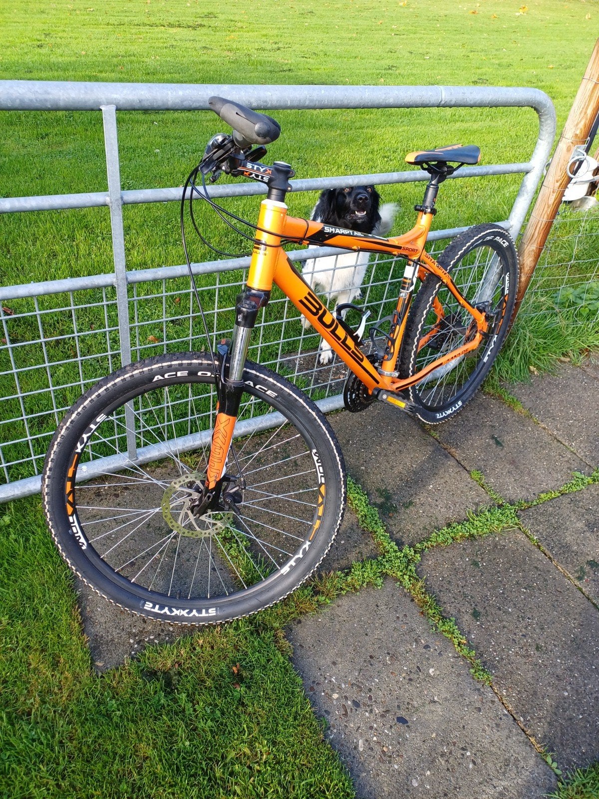 Bulls Sharptail XC Mountainbike - Oranje/Zwart, Maat 51, Fietsen en Brommers, Hardtail, Heren, 49 tot 53 cm, Zo goed als nieuw
