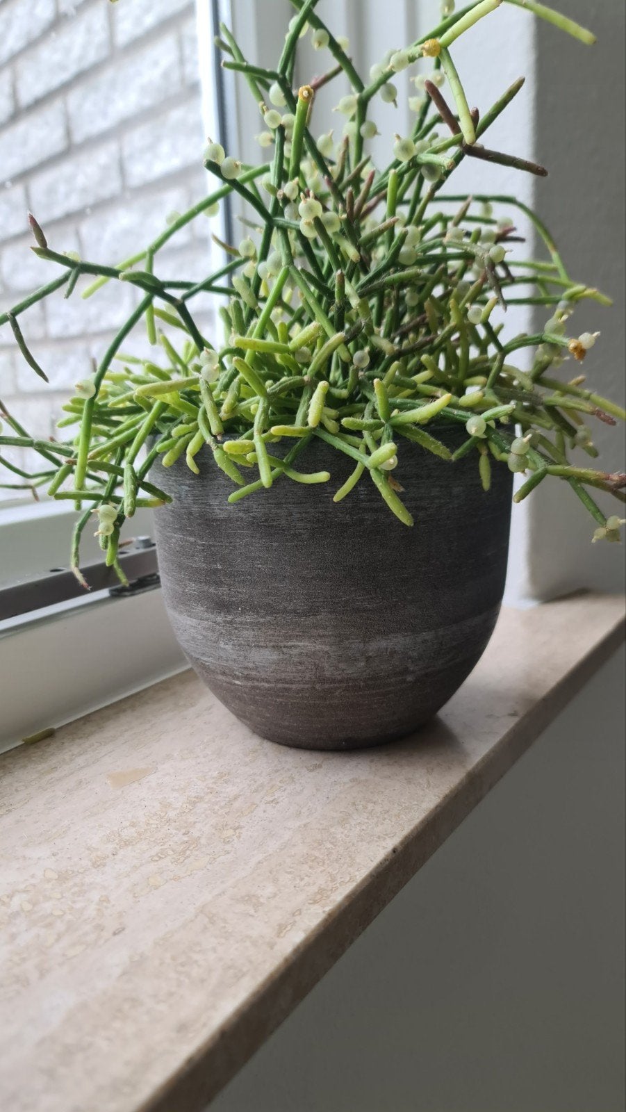 Alaska Pot Industrieel HS_580516, Tuin en Terras, Ophalen, Rond, Binnen, Minder dan 25 cm