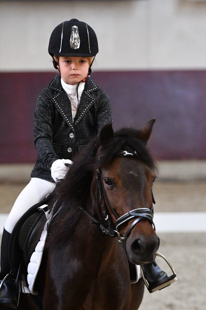 Brave kinderpony Dartmoor, Merrie, B pony (1.17m tot 1.27m), 11 jaar of ouder, Recreatiepony