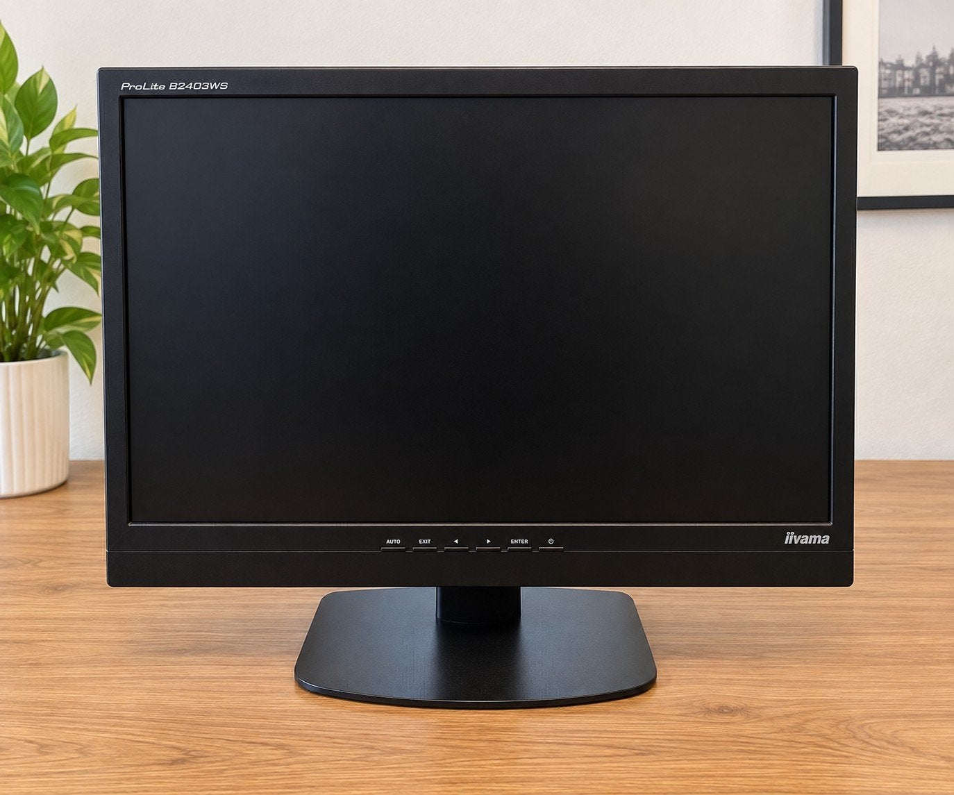 Monitor - 24 inch - iiyama ProLite B2403WS, Computers en Software, Monitoren, Ophalen