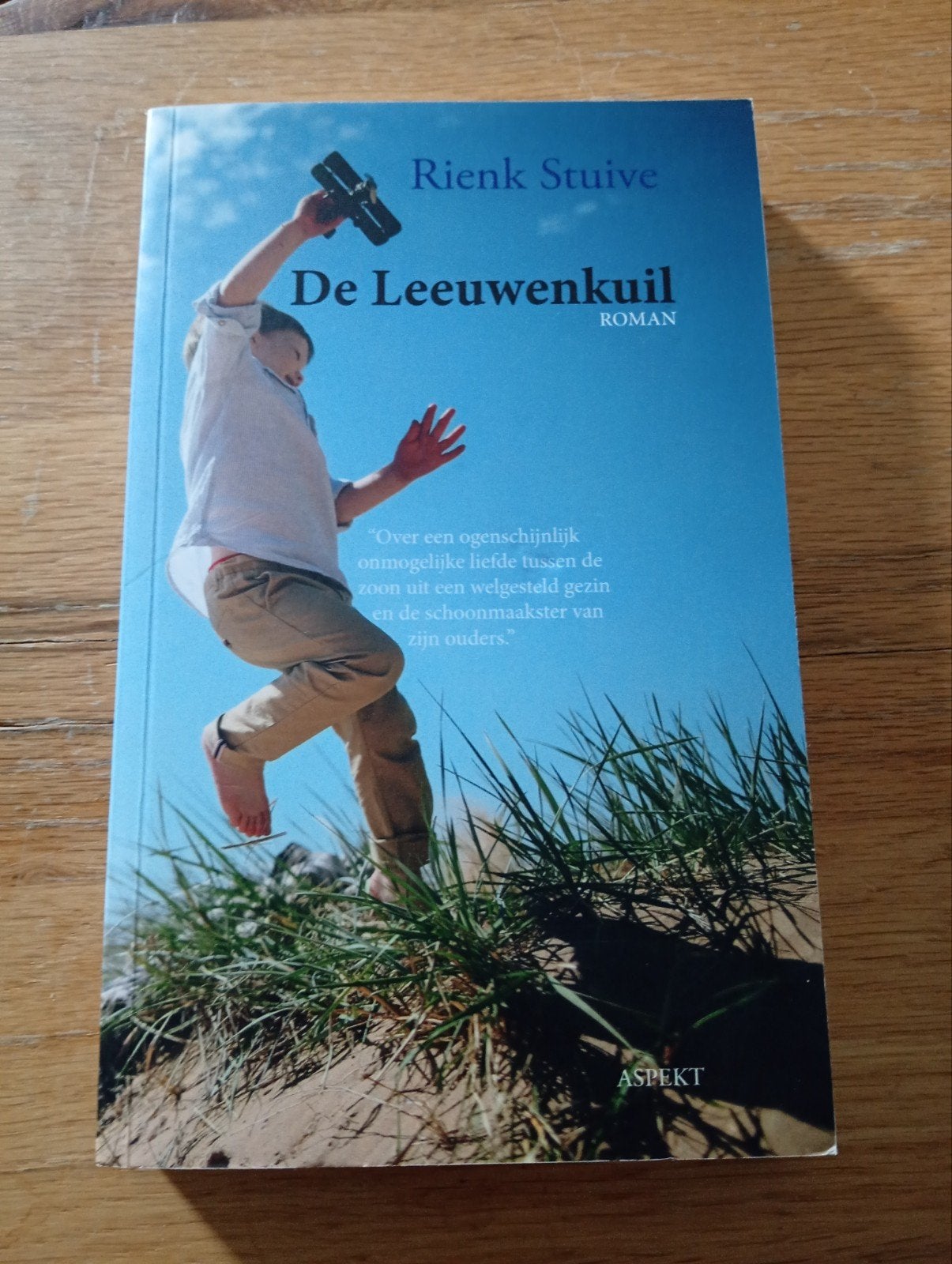 De Leeuwenkuil - Roman van Rienk Stuive, Rienk Stuive, Ophalen of Verzenden, Zo goed als nieuw, Nederland