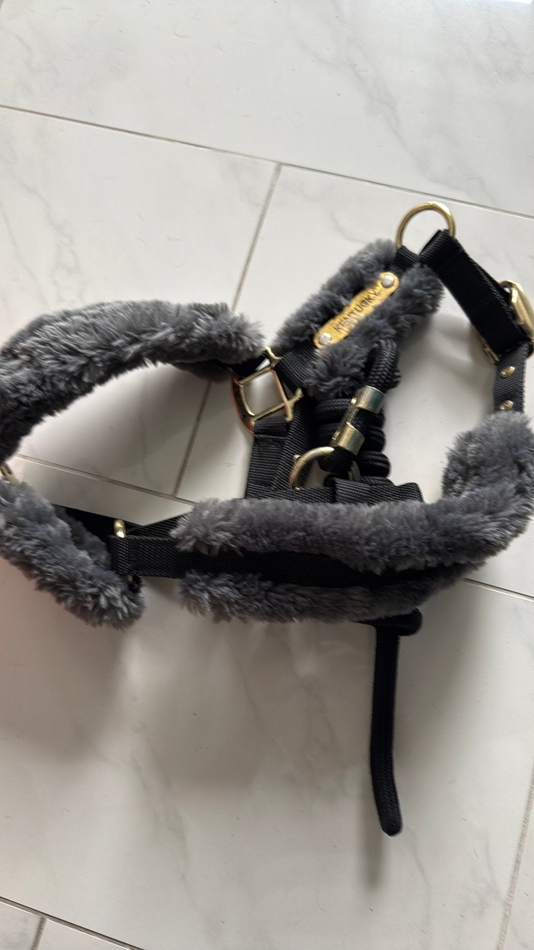 Halster en touw Kentucky, Ophalen of Verzenden, Zo goed als nieuw, Halster, Pony
