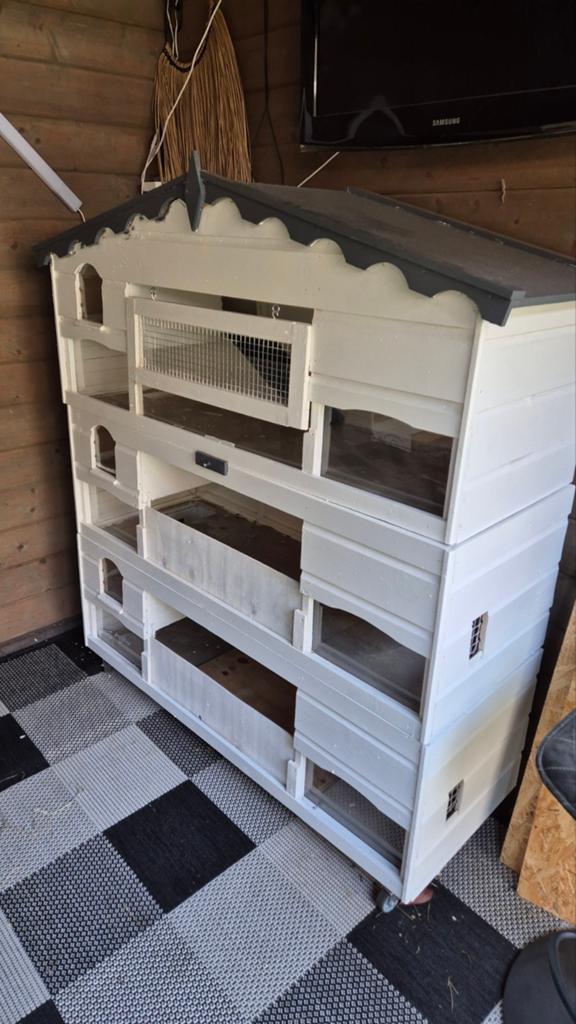 Cavia flat, Dieren en Toebehoren, Ophalen, 110 cm of meer, 90 cm of meer, Hok