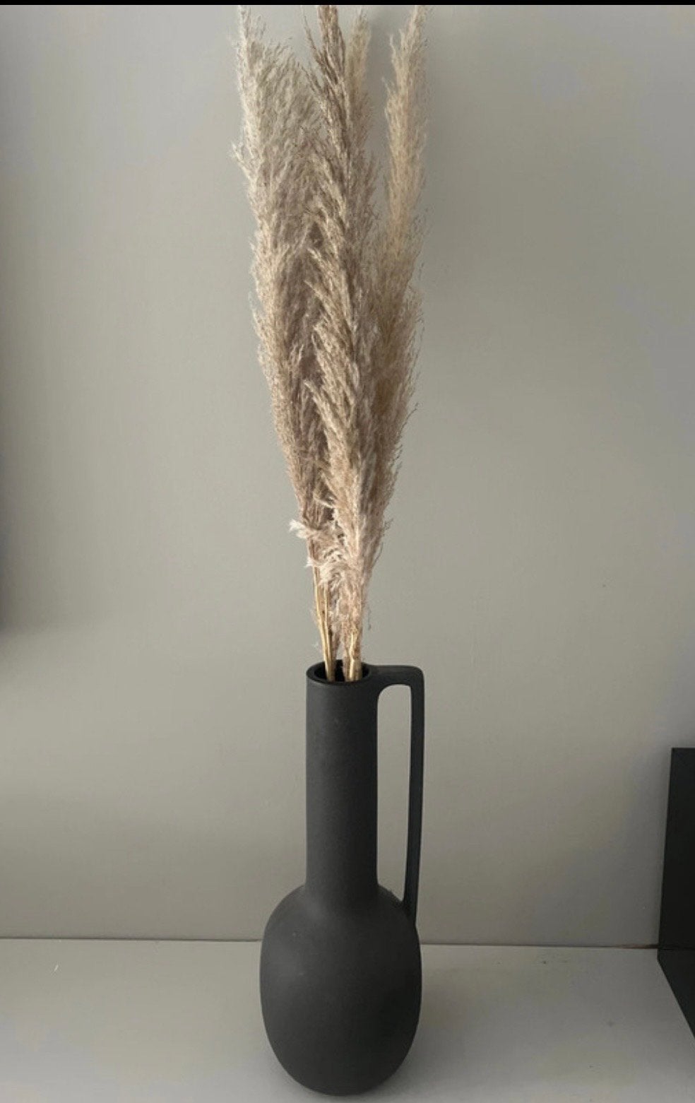 Zwarte / bruine vaas met pampas gras, Ophalen, Inclusief droogbloemen, Zwart, Zo goed als nieuw