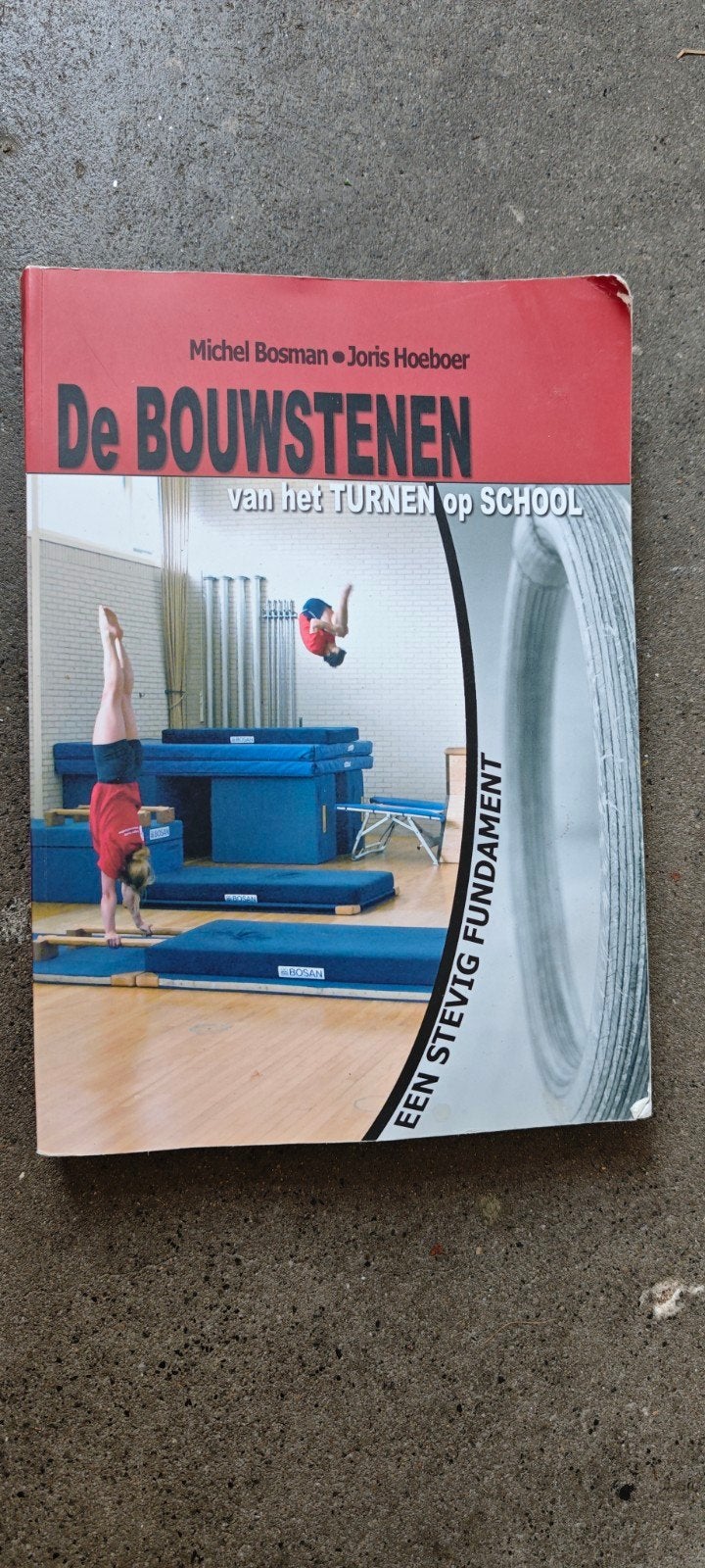 De Bouwstenen van het Turnen op School - Michel Bosman, Michel Bosman, Joris Hoeboer, MBO, Beta, Ophalen