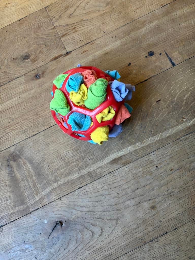 Honden speelbal, Ophalen of Verzenden, Gebruikt