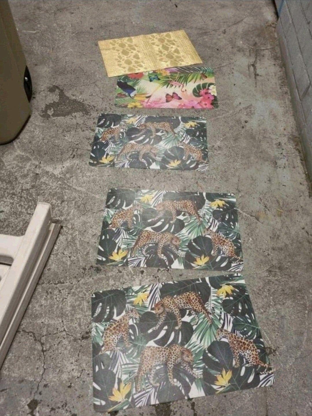 3x Placemat Dieren KAYDEN en meer, Ophalen of Verzenden
