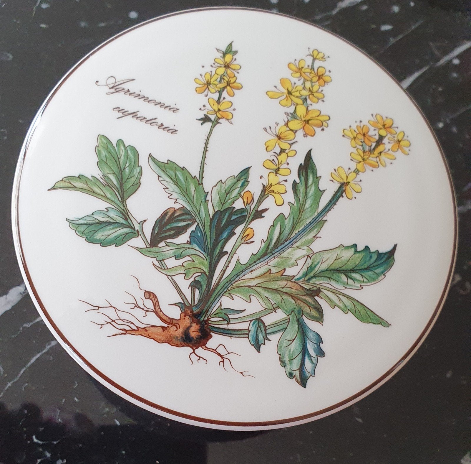 Villeroy & Boch Botanica schaaltje Agrimonia Eupatoria, Ophalen of Verzenden