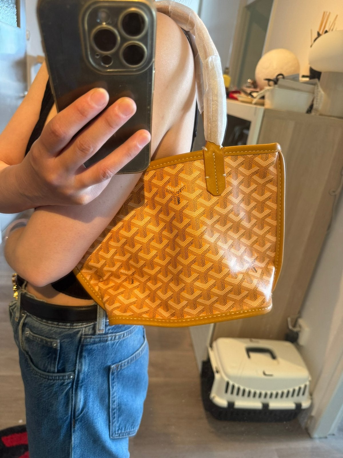 Goyard Bag Yellow Mini Tote Bag, Ophalen of Verzenden, Nieuw, Geel, Shopper