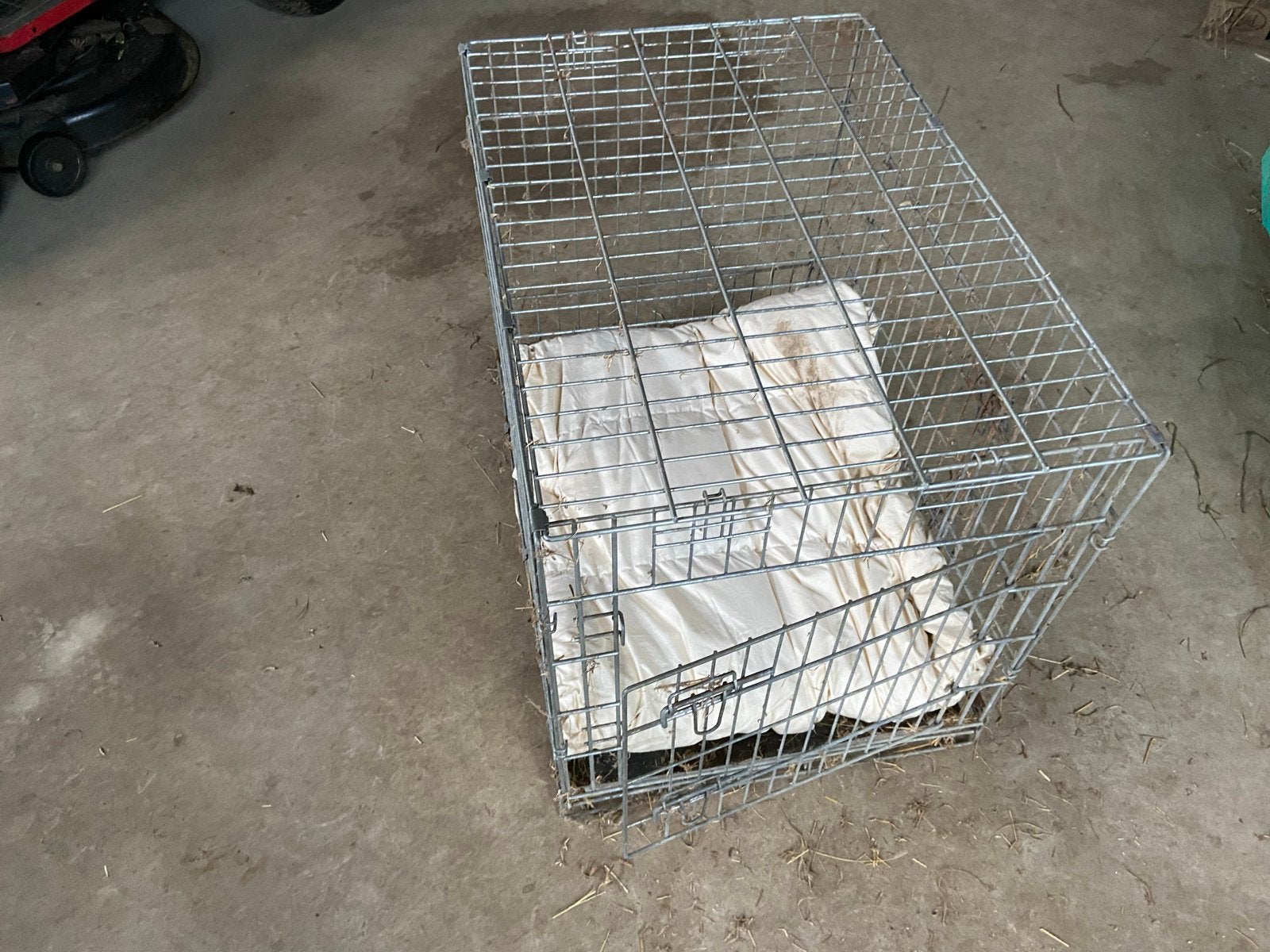 Hondenbenche, Dieren en Toebehoren, Ophalen of Verzenden