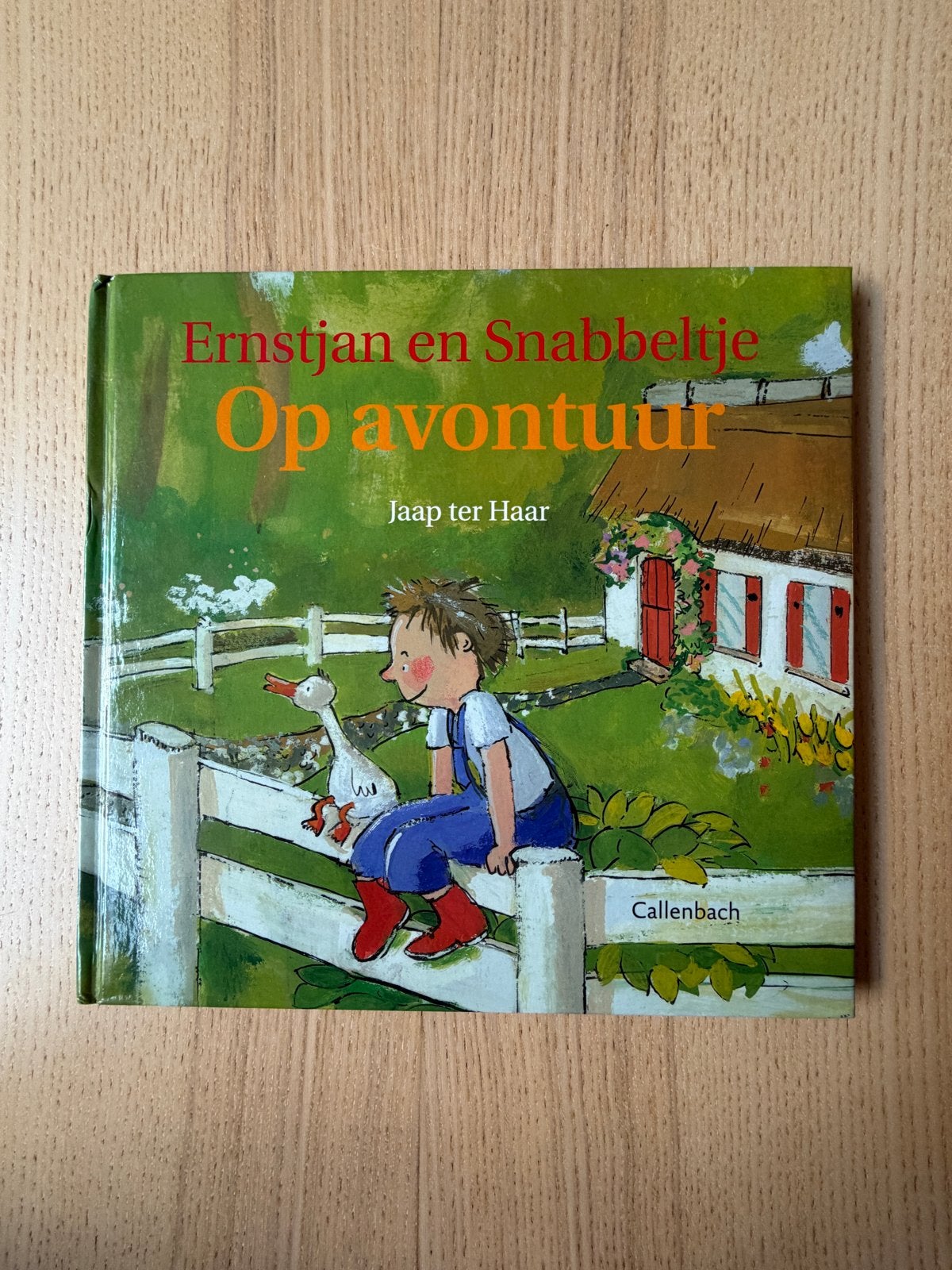 Ernstjan en Snabbeltje Op avontuur - Jaap ter Haar, Ophalen of Verzenden, Zo goed als nieuw, Fictie algemeen