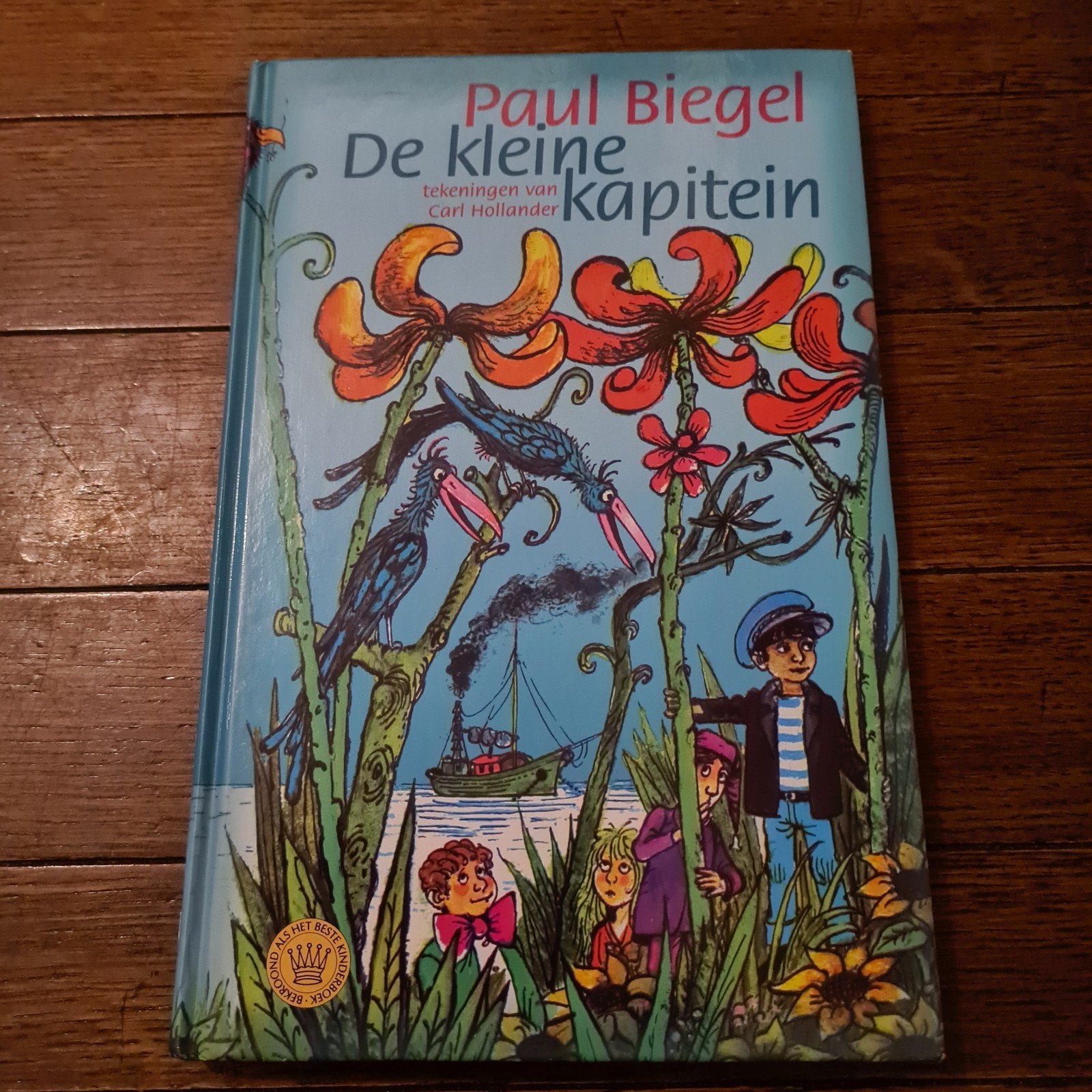 Paul Biegel - De kleine kapitein, Ophalen of Verzenden, Zo goed als nieuw, Paul Biegel, Fictie algemeen