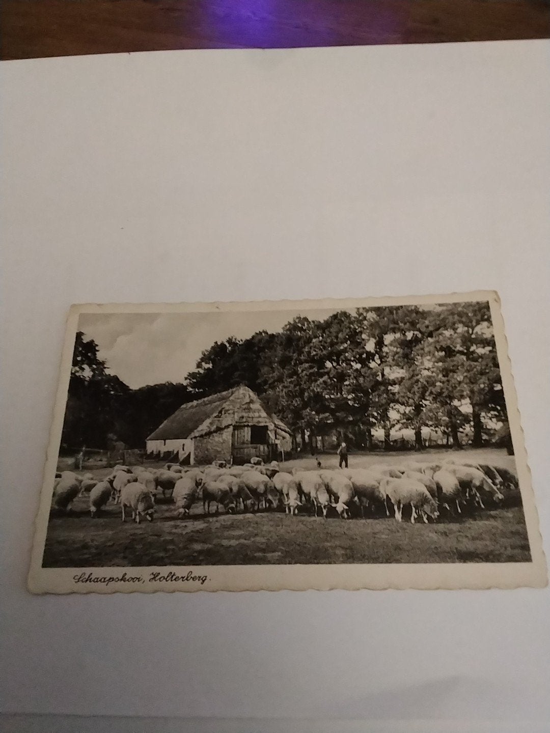 Oude ansichtkaart Schaapskooi, Holterberg (Gelopen), Verzamelen, Ophalen of Verzenden, 1940 tot 1960, Gelopen, Overijssel