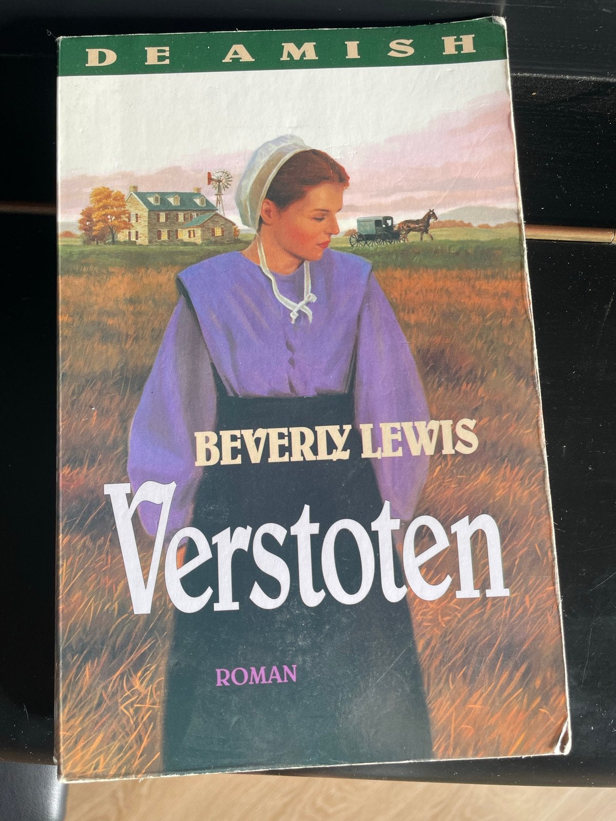 Verstoten - Beverly Lewis (De Amish serie), Boeken, Romans, Ophalen of Verzenden, Gelezen, Amerika