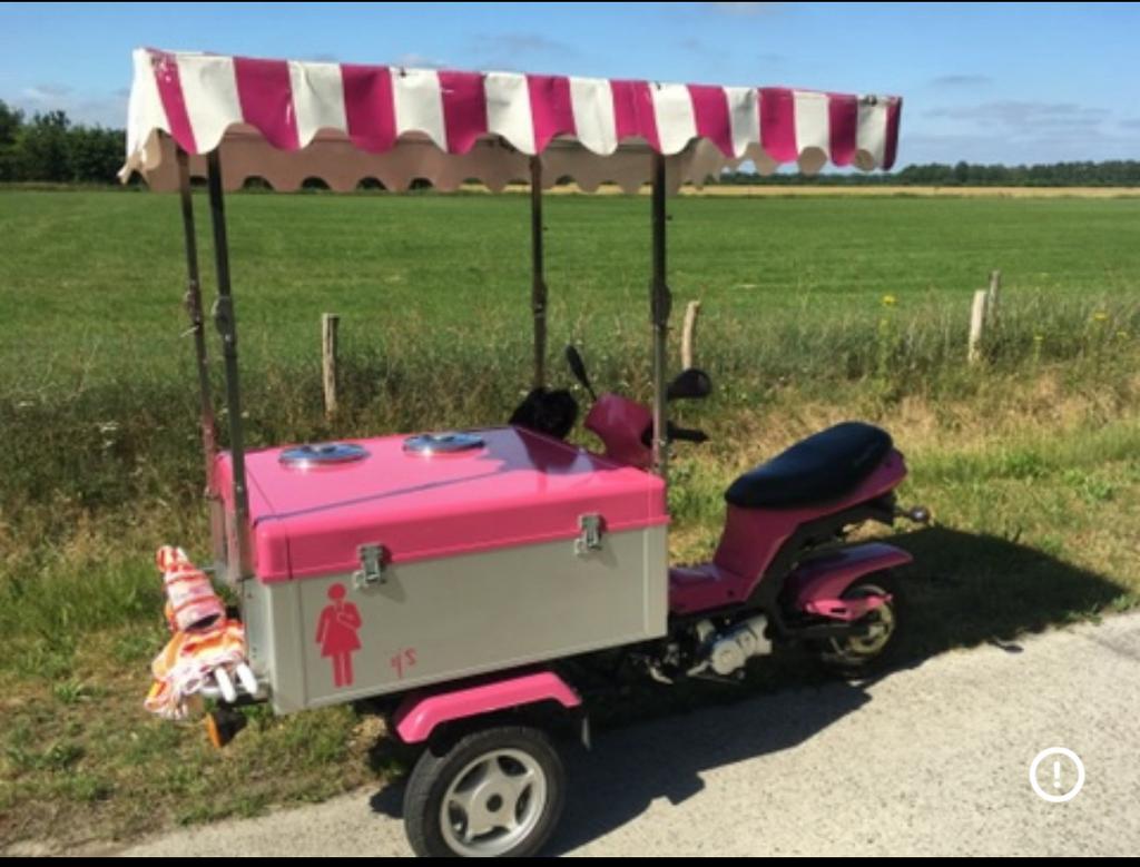 Ijsbrommer - cargobee- ijswagentje, Fietsen en Brommers, Ophalen