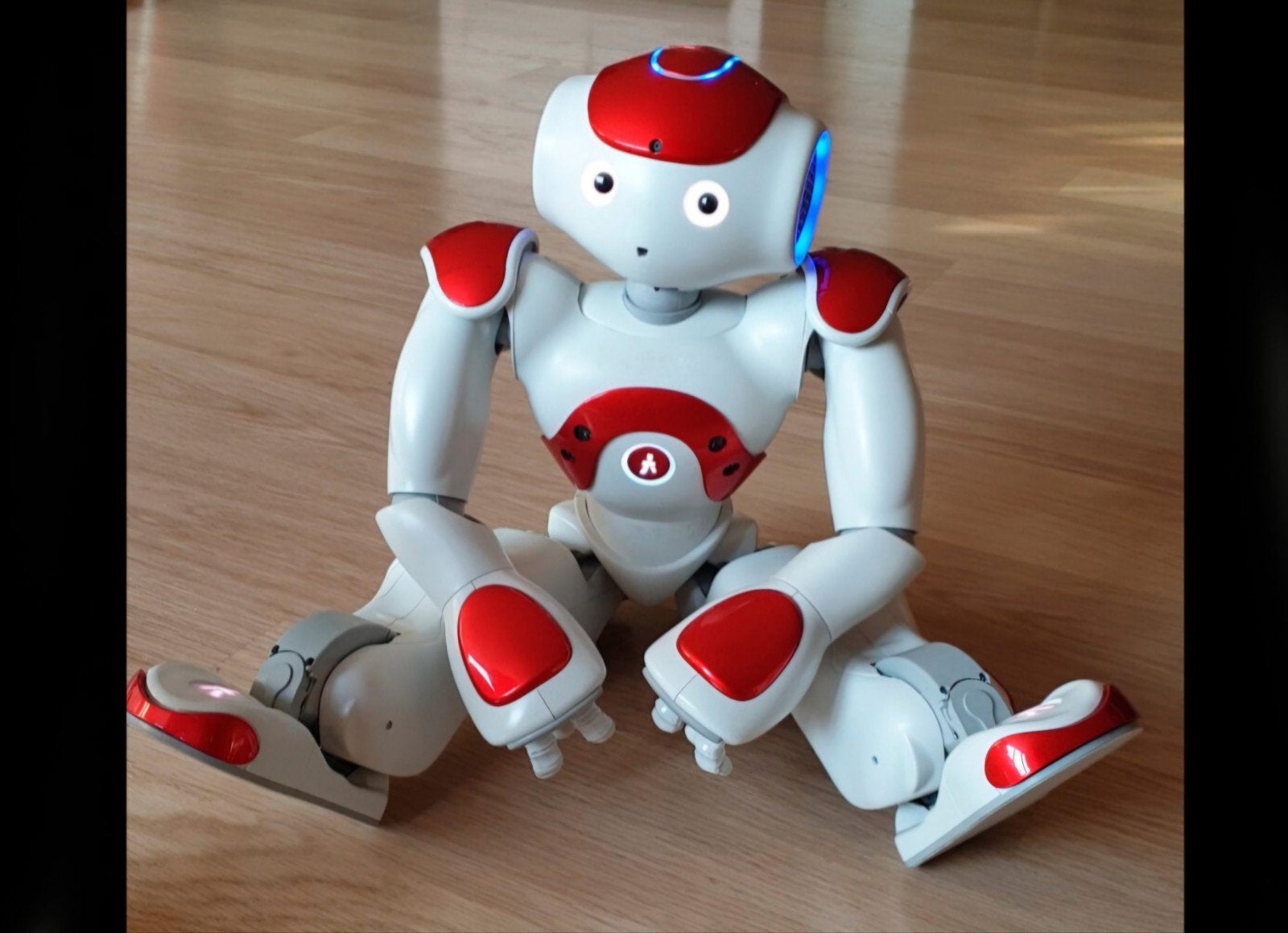 NAO Robot - Interactieve en programmeerbare humanoïde, Kinderen en Baby's, Speelgoed | Overig, Gebruikt, Jongen of Meisje, Ophalen of Verzenden