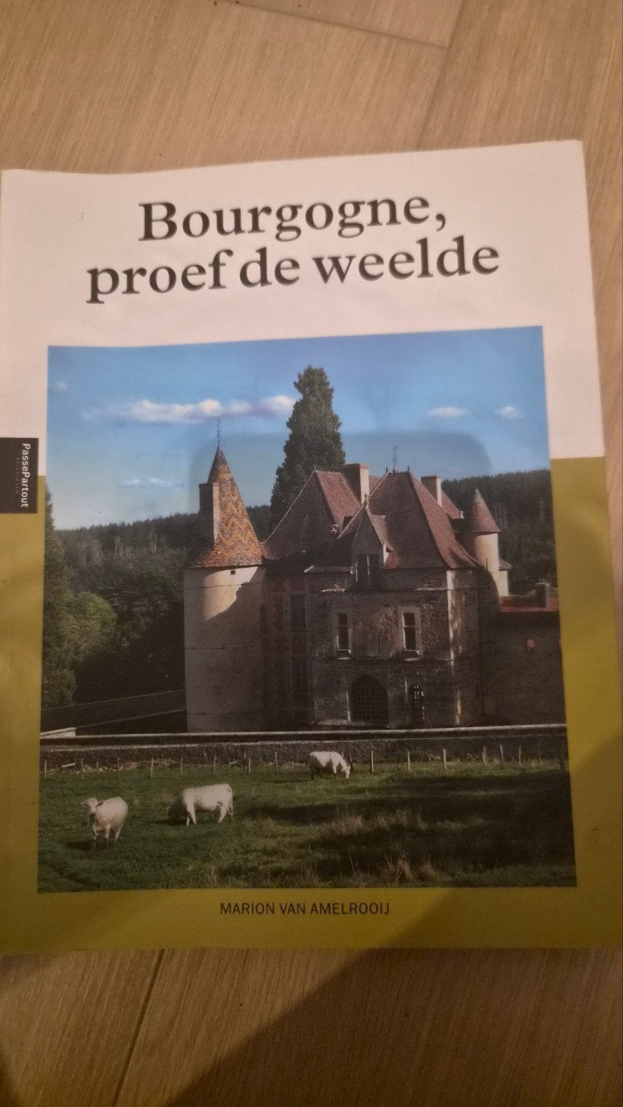 Bourgogne, proef de weelde - Reisgids Marion van Amelrooij, Europa, Ophalen of Verzenden, Reisgids of -boek, Marion van Amelrooij