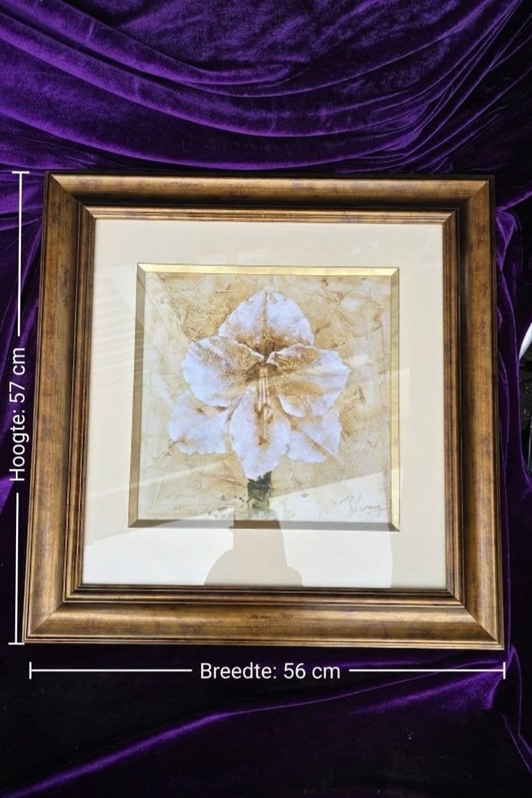 Set van 2 ingelijste bloemschilderijen, gesigneerd, Antiek en Kunst, Kunst | Schilderijen | Klassiek, Realistisch, Papier, Gemengde techniek