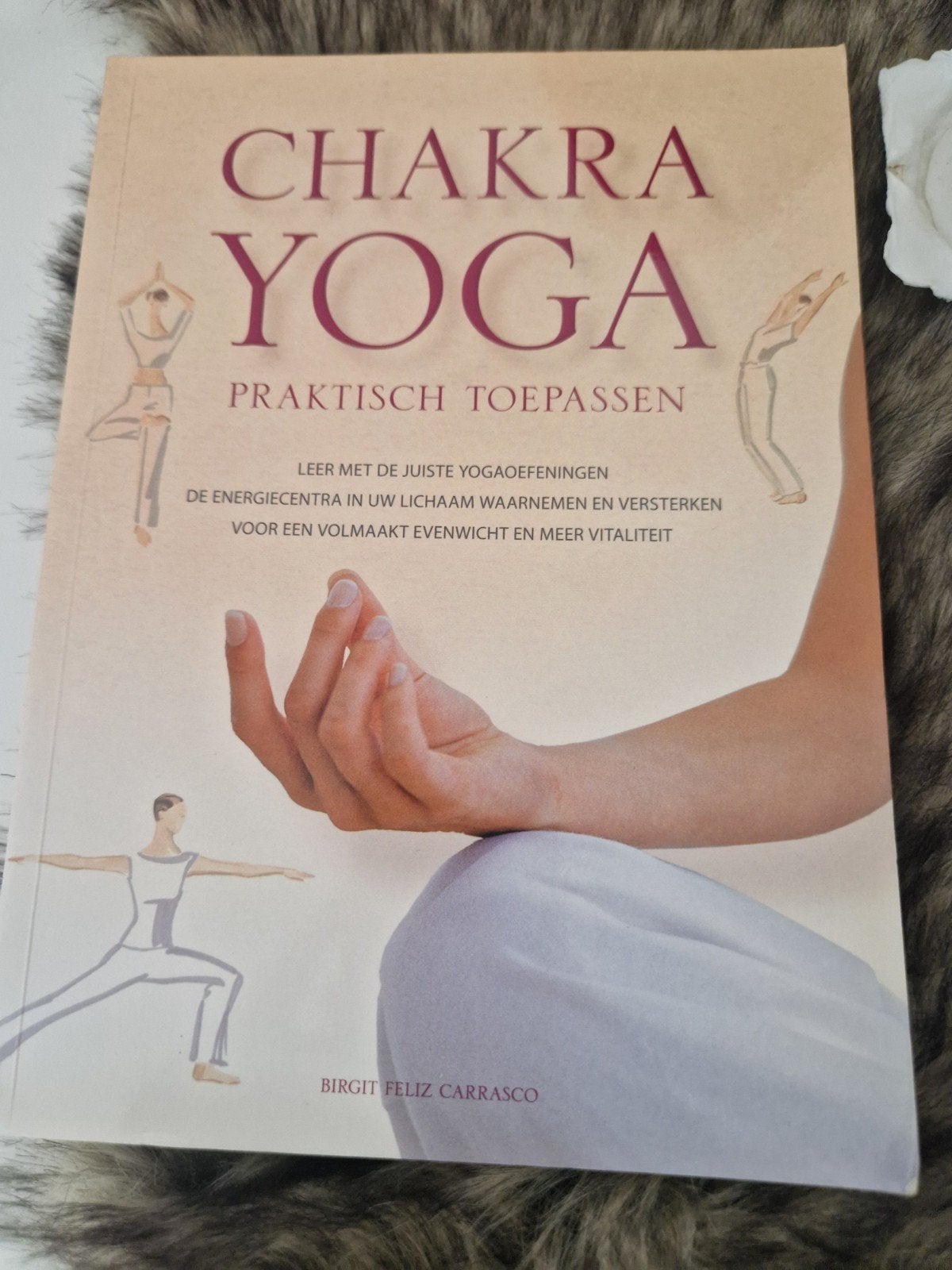 Chakra Yoga: Praktisch Toepassen - Birgit Feliz Carrasco, Meditatie of Yoga, Ophalen of Verzenden, Zo goed als nieuw, Birgit Feliz Carrasco