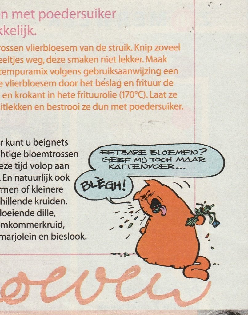 Vintage knipsel 2003 Jan Jans Kinderen kater bloemen eten, Verzamelen, Ophalen of Verzenden, Overige typen
