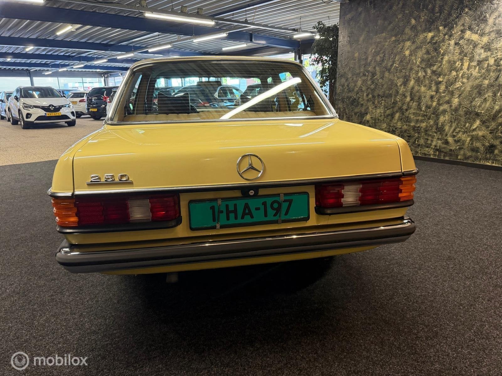 Mercedes Mercedes 250 Oldtimer W123 E/S 250, foto 4