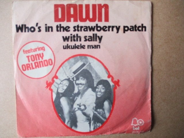 s5799 dawn - who's in the strawberry patch with sally, Ophalen, Gebruikt, 7 inch, Overige genres