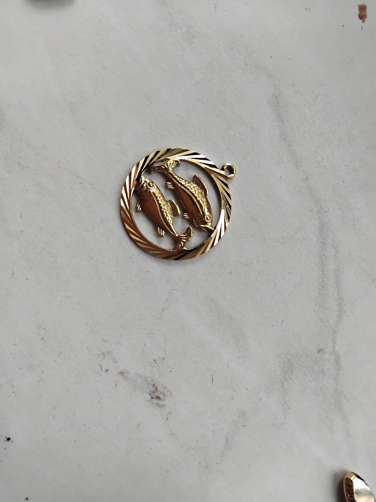Vissen horoscoop hanger, Overige materialen, Ophalen of Verzenden, Dame, Goud