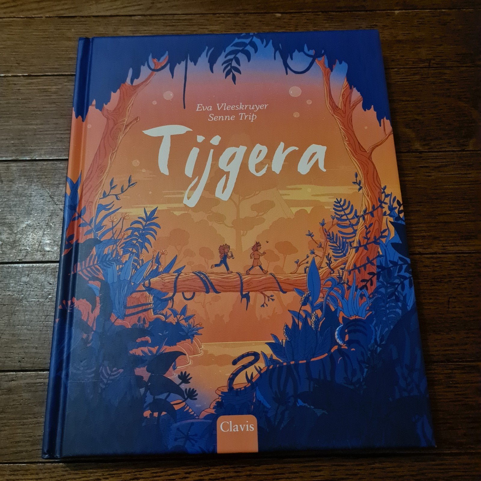 Eva Vleeskruyer - Tijgera, Fictie algemeen, Ophalen of Verzenden, Zo goed als nieuw, Eva Vleeskruyer