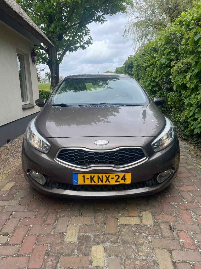 Kia (Pro) Cee d 1.6 GDI 5DR 2013 Bruin, Auto's, 1591 cc, 4 cilinders, Bruin, Origineel Nederlands