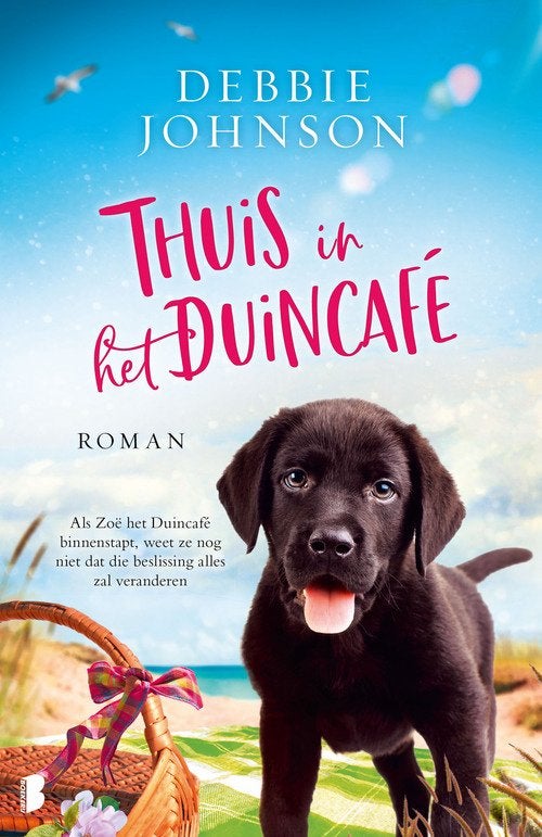 Gezocht deel 3&6 van het duincafe, Boeken, Romans, Ophalen, Zo goed als nieuw