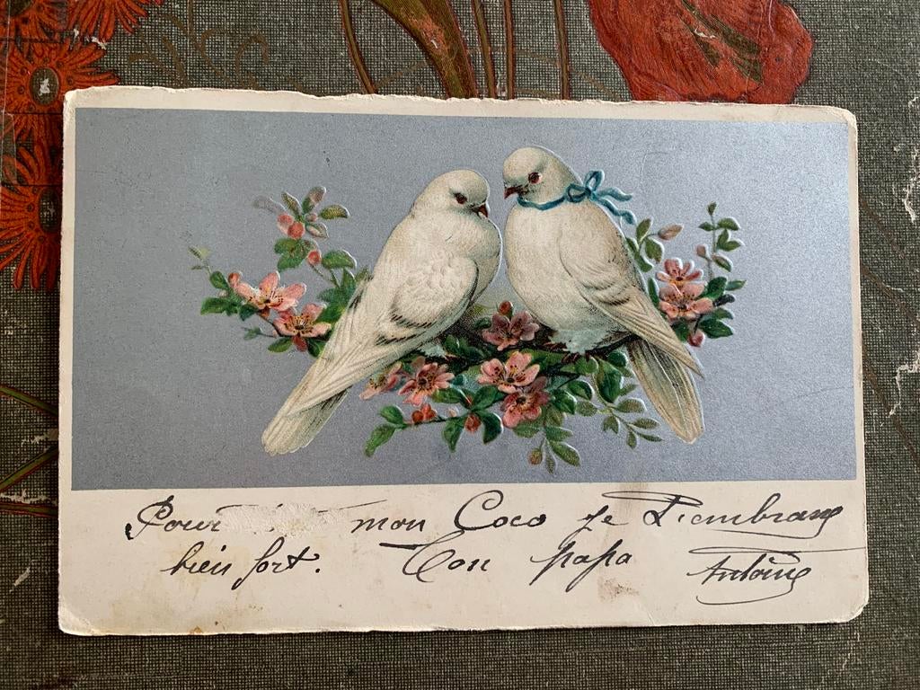 1905 Duifjes - zilver (RR), Ophalen of Verzenden, Voor 1920, Gelopen, Vogel