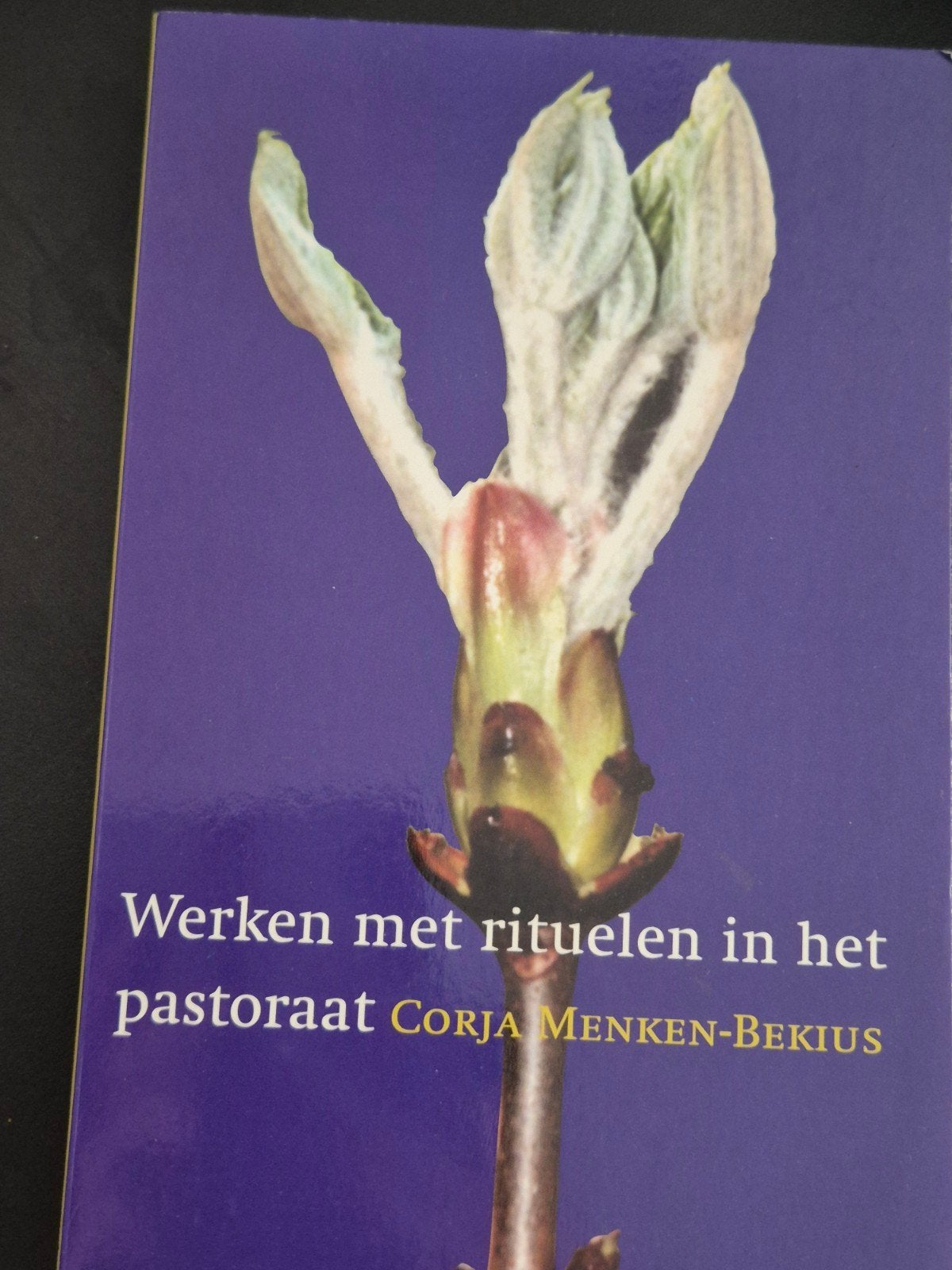 c. Menken-Bekius - Werken met rituelen in het pastoraat, Ophalen of Verzenden, Gelezen, C. Menken-Bekius