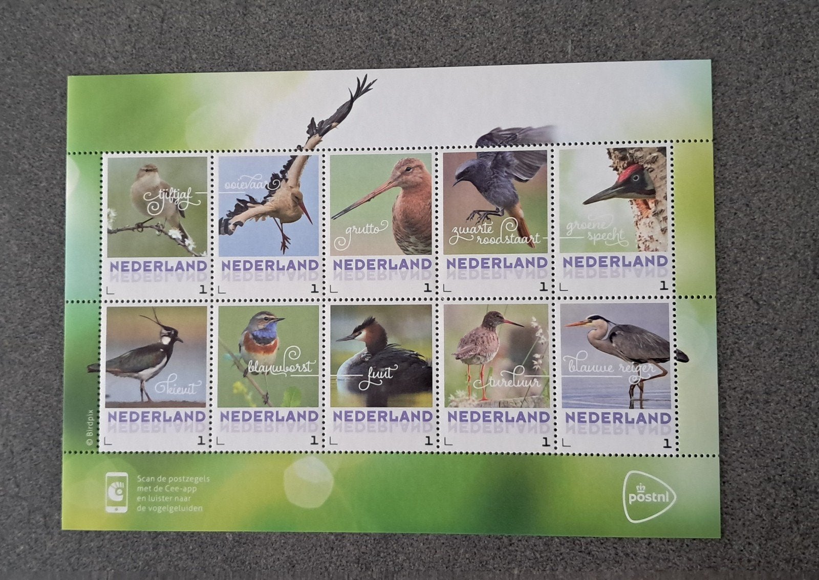 2017 - Postzegelvel lentevogels - postfris, Postzegels en Munten, Ophalen of Verzenden, Na 1940, Postfris