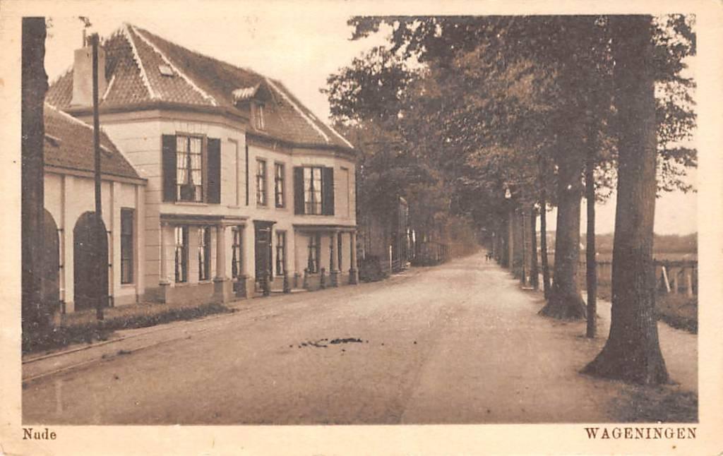 Wageningen Nude, Verzamelen, Verzenden, 1920 tot 1940, Ongelopen, Gelderland