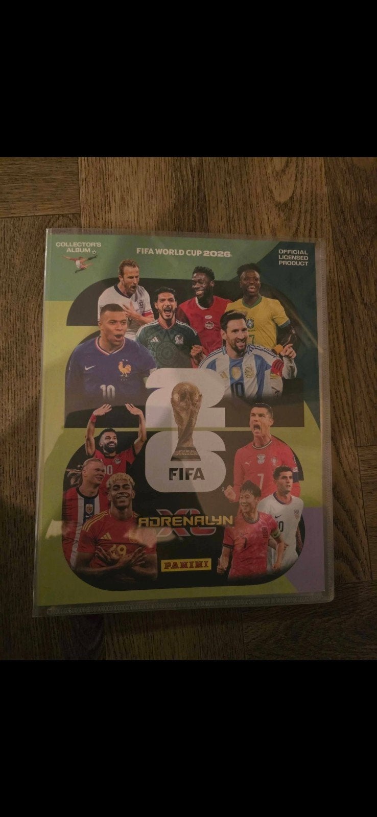Panini fifa world cup wk (KAARTEN EN STICKERS) dubbelen, Ophalen of Verzenden, Zo goed als nieuw, Button of Speldje