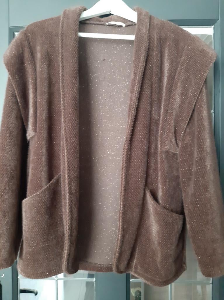 Nieuw bruin vestje met glitter, Maat 38/40 (M), Bruin, Nieuw, Ophalen of Verzenden