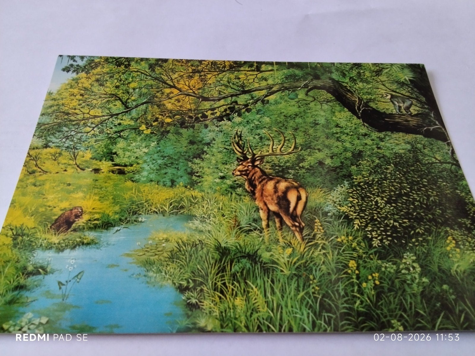 ansichtkaart: Landschap Tegelen (Limburg) 1,5 miljoen ja, Ophalen of Verzenden, 1960 tot 1980, Ongelopen, Natuur
