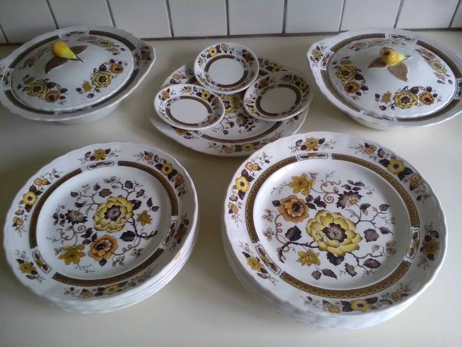 Prachtig engels pottery  bursley windermere servies, Huis en Inrichting, Keuken | Servies, Ophalen, Zo goed als nieuw, Bord(en)