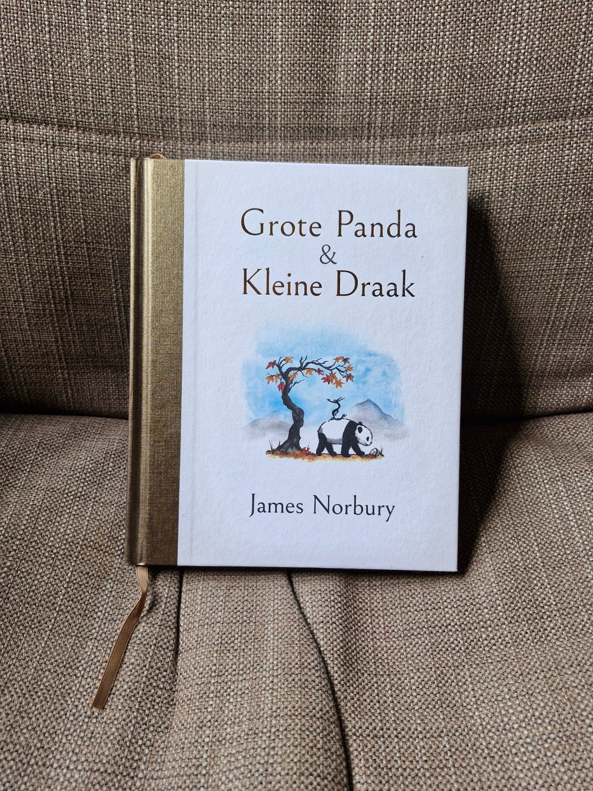Grote Panda & Kleine Draak - James Norbury zo goed als nieuw, Boeken, Ophalen, Zo goed als nieuw, James Norbury, Nederland