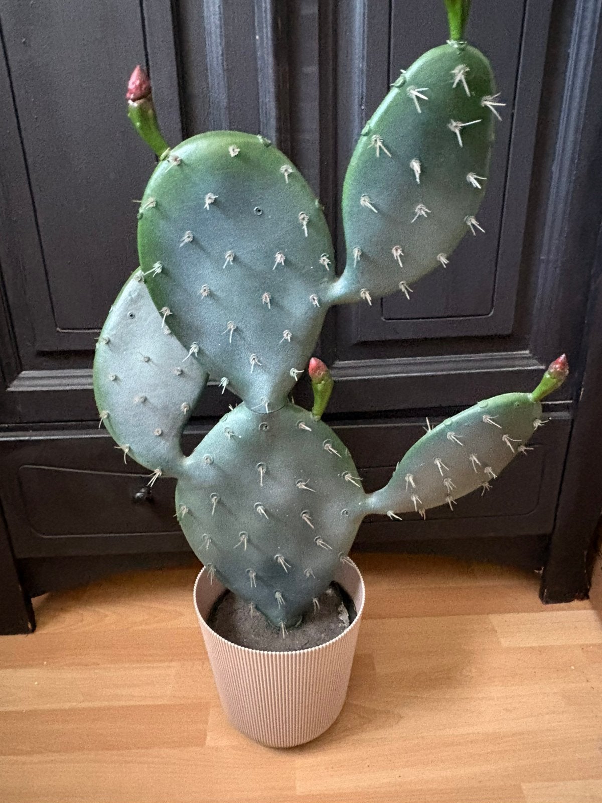Mooie Kunstcactus (Schijfcactus) - 75 cm hoog - Incl. pot, Ophalen
