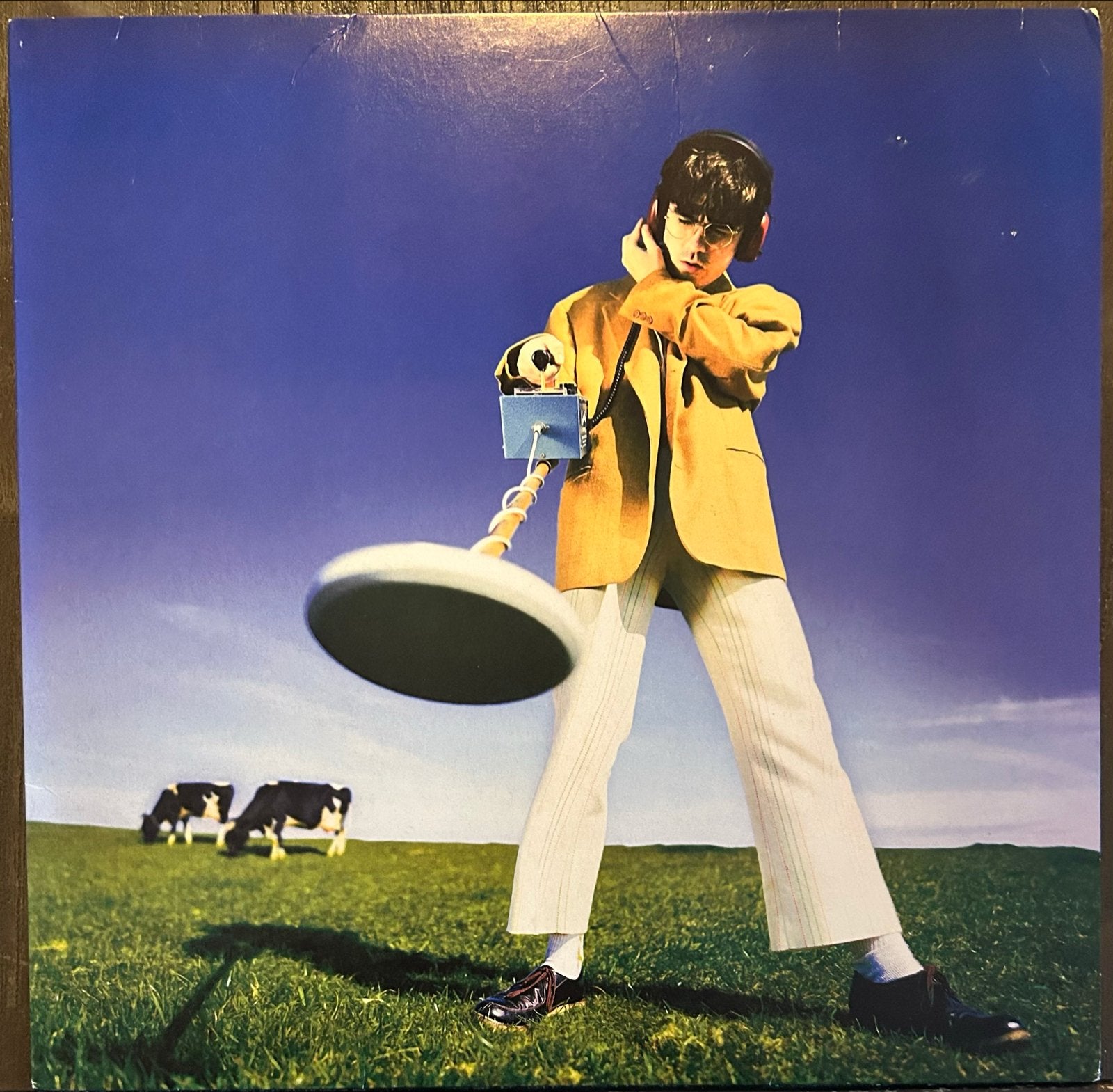 Declan McKenna - What Happened To The Beach? LP