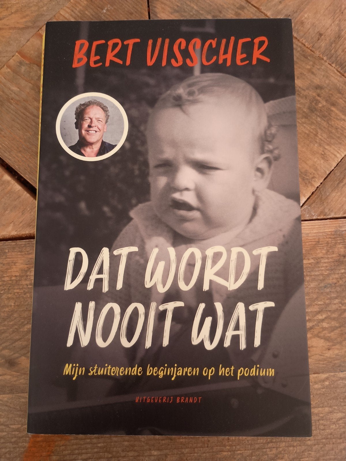 Bert Visscher - Dat Wordt Nooit Wat (Boek), Ophalen of Verzenden, Gelezen, Bert Visscher, Kunst en Cultuur