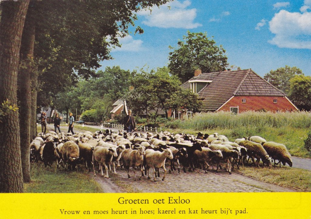 Exloo - Schaapskudde, Verzenden, 1980 tot heden, Gelopen, Drenthe