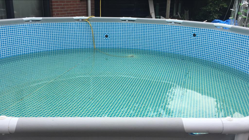 427 intex rond opzetzwembad - gebruikt, Gebruikt, Rond, 300 cm of meer, Ophalen