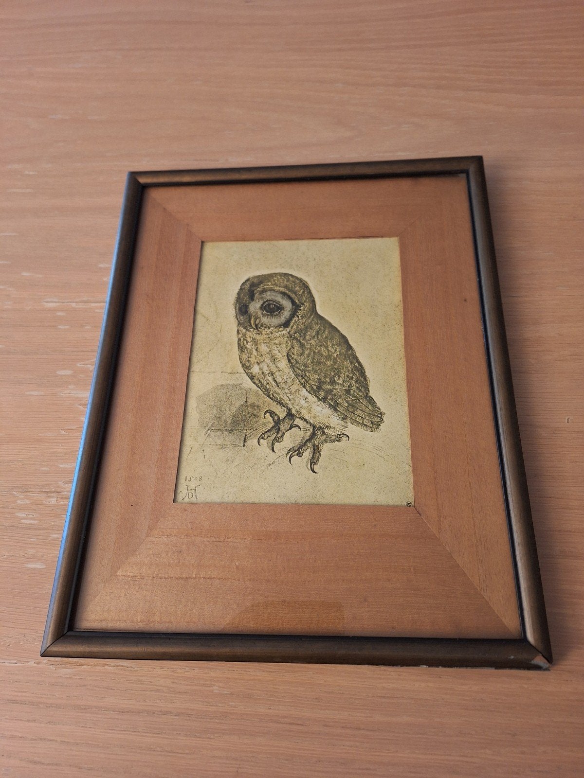 Ingelijste uil tekening - Vintage kunst, Antiek en Kunst, Ophalen of Verzenden, Tekening, Potloodtekening, Ingelijst