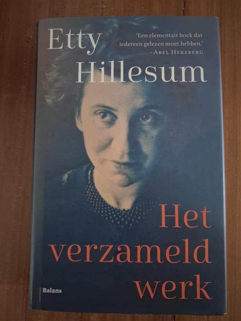 Etty Hillesum - Het verzameld werk, Boeken, Europa, Etty Hillesum, Ophalen of Verzenden, Zo goed als nieuw