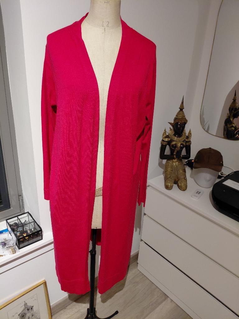 River woods prachtige vest xl, Kleding | Dames, Truien en Vesten, Ophalen, Zo goed als nieuw, Maat 42/44 (L)